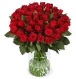 Blumenstrauß aus 50 roten Rosen ab 33,19 € inkl. Versand