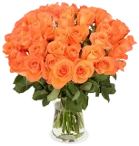 Blumenstrauß Aus 60 Orangen Rosen Ab 34,99 € Inkl. Versand