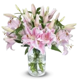 Blumenstrauß mit 15 pinken Lilien ab 27,29 € inkl. Versand