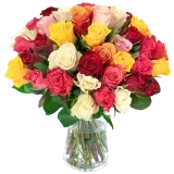 Blumenstrauß mit 33 bunten Rosen ab 39,49 € inkl. Versand
