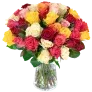 Blumenstrauß mit 33 bunten Rosen ab 39,49 € inkl. Versand