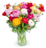 Blumenstrauß mit 50 Ranunkel für 32,48 €‬ inkl. Versand