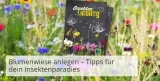 EDEKA Samentüten gratis: Blühmischung für Bienen und Insekten (10. März ab 10 € Einkaufswert – Edeka Südwest)
