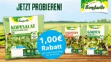 Couponplatz: Bonduelle Fresh Cut Beutel 1,00 € Rabatt-Coupon