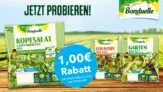 Couponplatz: Bonduelle Fresh Cut Beutel 1,00 € Rabatt-Coupon