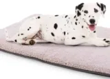 Brunolie Finn – Hundedecke, geruchsneutral Größe M (100 x 70 x 5 cm) Beige für 11,89 € inkl. Prime-Versand (statt 37,99 €)