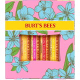 Burt’s Bees Lippenbalsam-Geschenkset (Bienenwachs, Erdbeere, Tropische Ananas, Drachenfrucht-Zitrone, In voller Blüte)