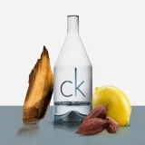 CALVIN KLEIN ck IN2U Eau de Toilette for him (100 ml)
