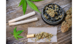 Cannabis-Gesetz in Deutschland  – ab 1. April 2024 in Deutschland teilweise legal