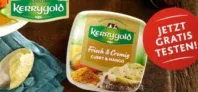 Gratis Testen: Kerrygold Frisch & Cremig – Curry & Mango