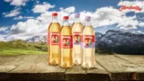 marktguru: 0,50 € Cashback auf Almdudler