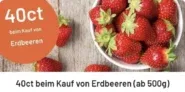 smhaggle: 0,40 Cashback auf Erdbeeren (ab 500g) [bei Kaufland effektiv für 1,44 €]