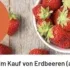 MÄC-GEIZ Oster Aktion 🐰 gratis Bastelbogen holen und Osterüberraschung bekommen -für alle Kinder bis 12 Jahre! 🎉