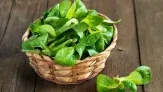 marktguru: 0,40 € Cashback auf Feldsalat