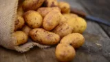 marktguru: 0,40 € Cashback auf Kartoffeln 🥔