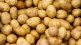 marktguru: 0,40 € Cashback auf Kartoffeln (effektiv 1,5kg Bio Kartoffeln festkochend für 1,39 € bei PENNY)
