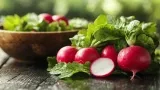 Marktguru: 0,40 € Cashback Auf Radieschen