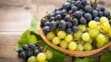 marktguru: 0,40 € Cashback auf Weintrauben (effektiv 2,59 € für 1kg Trauben bei Netto MD bis 23.08.)