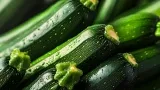 marktguru: 0,50 € Cashback auf Zucchini