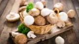 marktguru: 0,50 € Cashback auf frische Champignons 🍄 ( effektiv 400g für 1,19 € bei Netto MD bis 03.01.26)