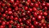 Marktguru: 0,40 € Cashback Auf Frische Kirschen🍒 (Effektiv 100G Für 0,39 € Bei Netto Md)