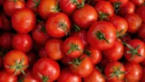 Marktguru: 0,30 € Cashback Auf Frische Tomaten 🍅 (Effektiv 650G Rispentomaten Für 1,19 € Bei Rewe)