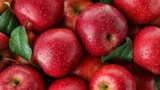marktguru: 0,40 € Cashback auf frischen Äpfeln 🍏 (effektiv 550g Schale Bio Tafeläpfel für 1,59 €)