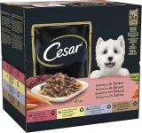 Cesar Hundefutter Feines im Frischebeutel (4.8 kg) ab 10,75 € inkl. Prime-Versand (statt 19,00 €)