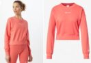 Champion Damen American Classic Crew Sweatshirt (Gr. M bis XL) für 19,90 € inkl. Versand (statt 29,95 €)
