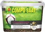 Compo SAAT Strapazier-Rasen 2kg für 27,80 € inkl. Prime-Versand (statt 36,99 €)