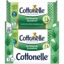 Cottonelle Feuchtes Toilettenpapier Wohltuende Sauberkeit (12 x 42 Feuchttücher) ab 15,84 € inkl. Prime-Versand (statt 19,80 €)