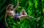 Disneys Musical TARZAN in Stuttgart inkl. Hotelübernachtung ab nur 96 € pro Person! 🐒 🌿