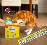 Dreamies Klassiker Katzensnacks mit Thunfisch (6x 60g)