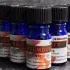 Sheba Sauce Collection mit Huhn (Katzen Nassfutter im Portionsbeutel  28x85g) ab 12,35 € inkl. Prime-Versand (statt 18,20 €)