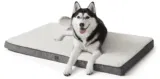 EHEYCIGA Hundebett Hundekissen kleine Hunde Beige M ab 17,50 € inkl. Prime-Versand (statt 34,99 €)