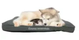 EMMA® Essentials Extra Komfort Hundebett Größe M, Waschbar, 7.5 cm Höhe, 76x50cm für 33,00 € inkl. Prime-Versand (statt 49,99 €)