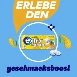 EXTRA REFRESHERS Tropical , 12×8 Stück