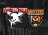 Eishockey Freikarten: Kölner Haie 🦈 vs Grizzlys Wolfsburg🐻