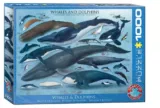 Eurographics Whales and Dolphins Puzzle (1.000 Teile, 68x48cm)
