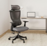 Flexispot BS8G Ergonomischer Bürostuhl für 124,99 € statt 230 €