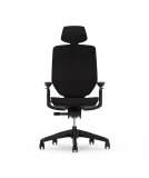 Flexispot Bürostuhl Mit Drei Knöpfen Einfach Verstellbar Bs12 Pro Ab 289,00 € Inkl. Versand