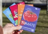 TU Berlin verteilt kostenlos Jungpflanzen (TUmaten-, Erbsen- und Leinpflanze)