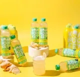 Gratis Kombuchery Kombucha Ginger bei dm – Geld zurück für 2 Flaschen (nur 2.500 Einlösungen)