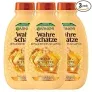 Garnier Wahre Schätze Reparierendes Shampoo Honig (3 x 250 ml) ab 4,48 € inkl. Prime-Versand (statt 8,25 €)