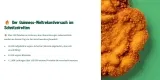 Schnitzle for Free 😍 in Berlin 15.000 vegane Schnitzel, 11.000 vegane Käsetaler und fast 100.000 weitere Produkte am 19. August