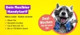 SIMon mobile 🦝  Datenknaller zum Beispiel Vodafone Allnet- und SMS-Flat mit 70 GB 5G (150 M/bits & monatlich kündbar) für 16,99€ mtl. + 5GB extra
