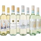 Hawesko Probierpaket Frischer Pinot Grigio 8er Pack (4×2 Flaschen)