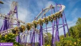 Tagesticket für den Heide Park in Soltau für 31,50€ 🎢