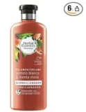 Herbal Essences Bio: Renew Volumen Conditioner – 6 Behälter à 400 ml – Insgesamt 2400 ml für 12,14 € Versand (statt 37,92 €)