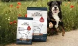 PLATINUM VETACTIVE Senior Produkttest – Premium-Trockennahrung für ältere Hunde kostenlos [600 Tester]